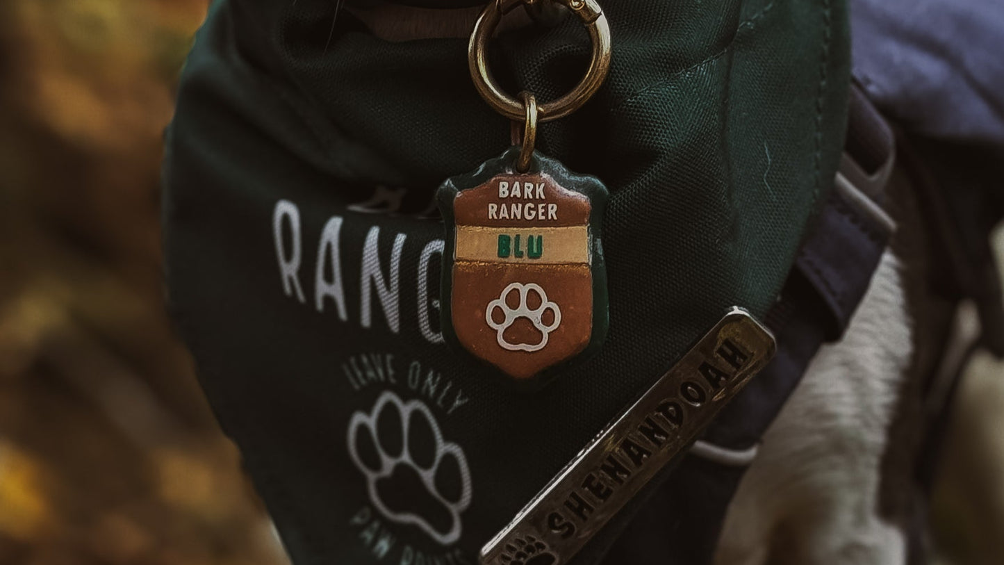 Bark Ranger Badge