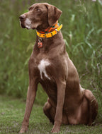 Pheasant & Flush Tag