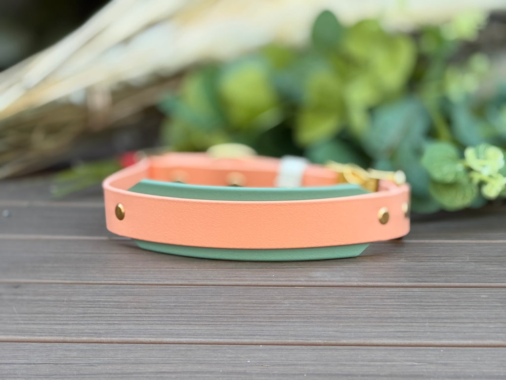 Spring BIO Collar