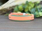 Spring BIO Collar