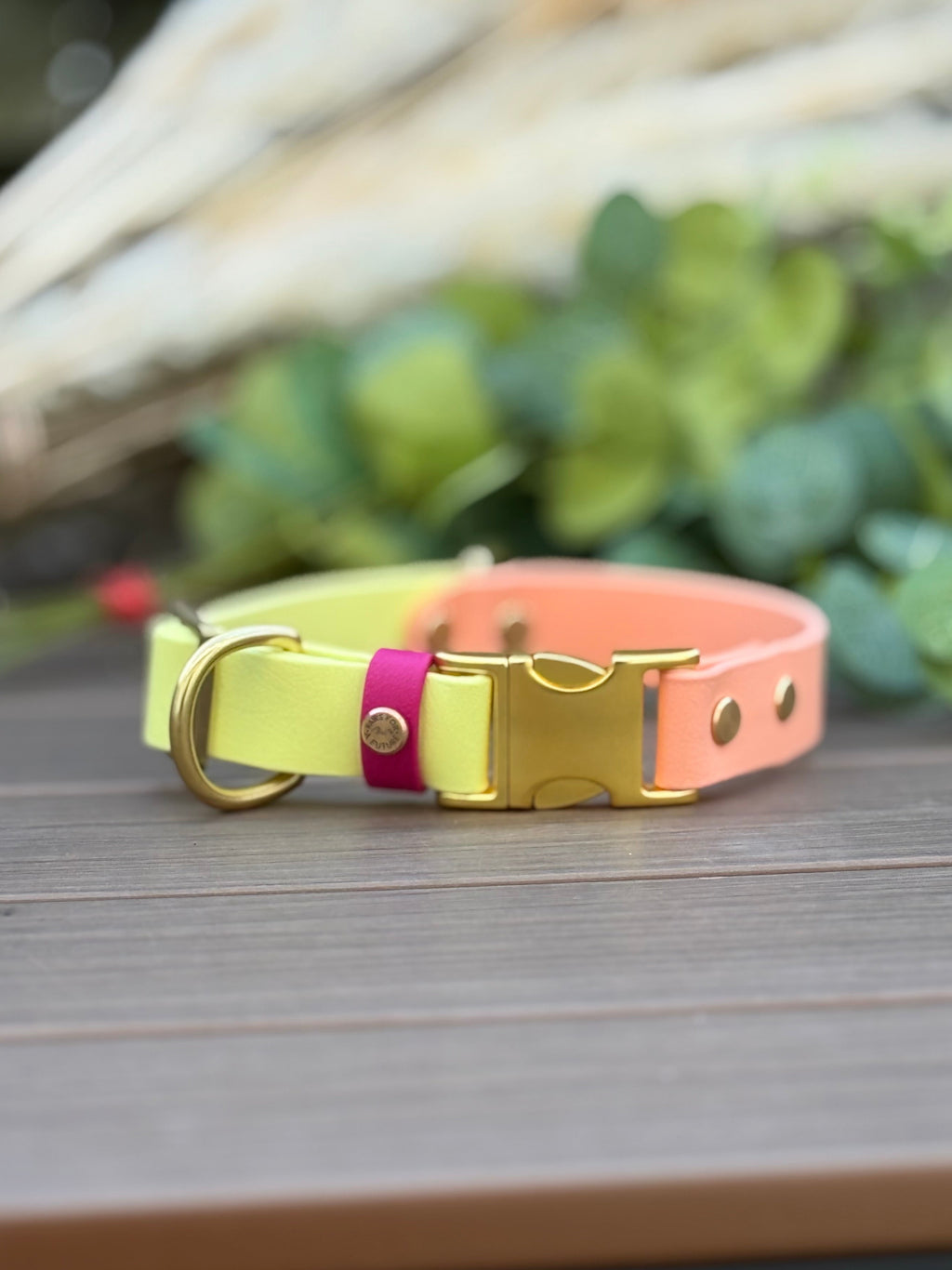 Spring Two-Toned Collar