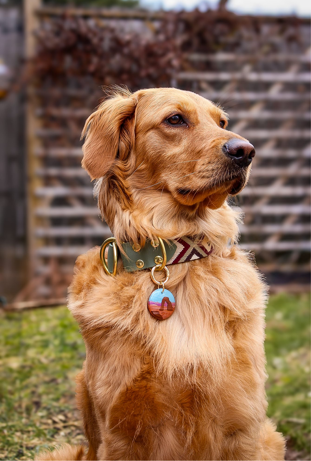 Arches National Park Tag