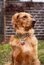 Arches National Park Tag