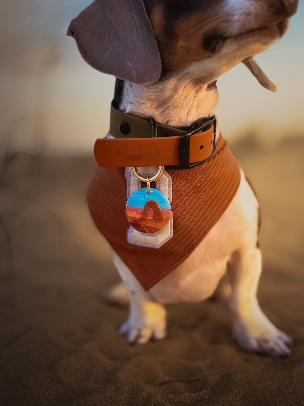 Arches National Park Tag