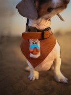 Arches National Park Tag