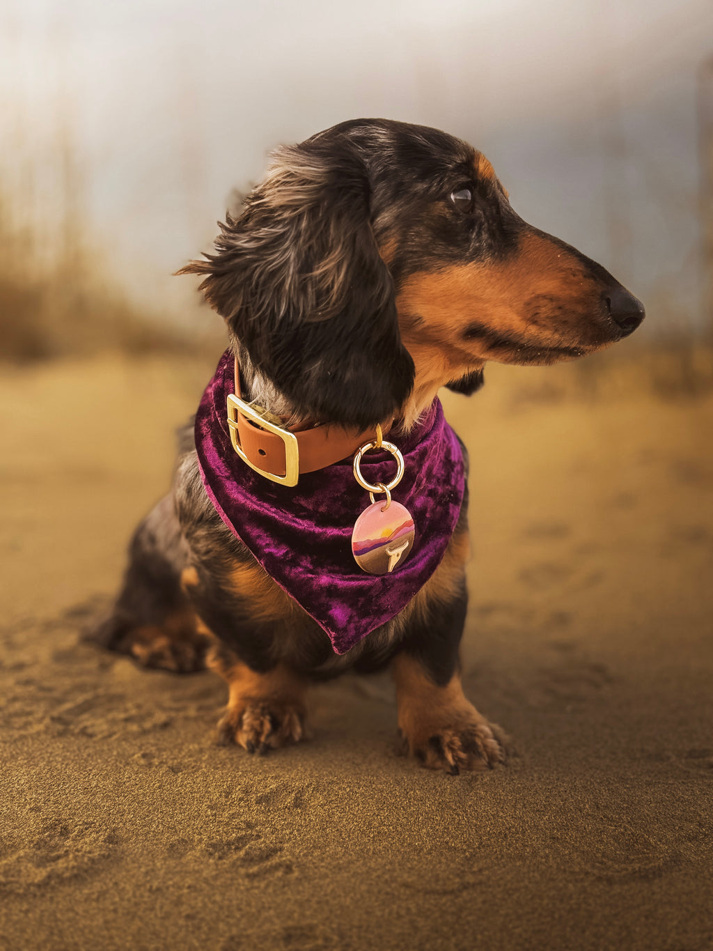 Death Valley National Park Tag