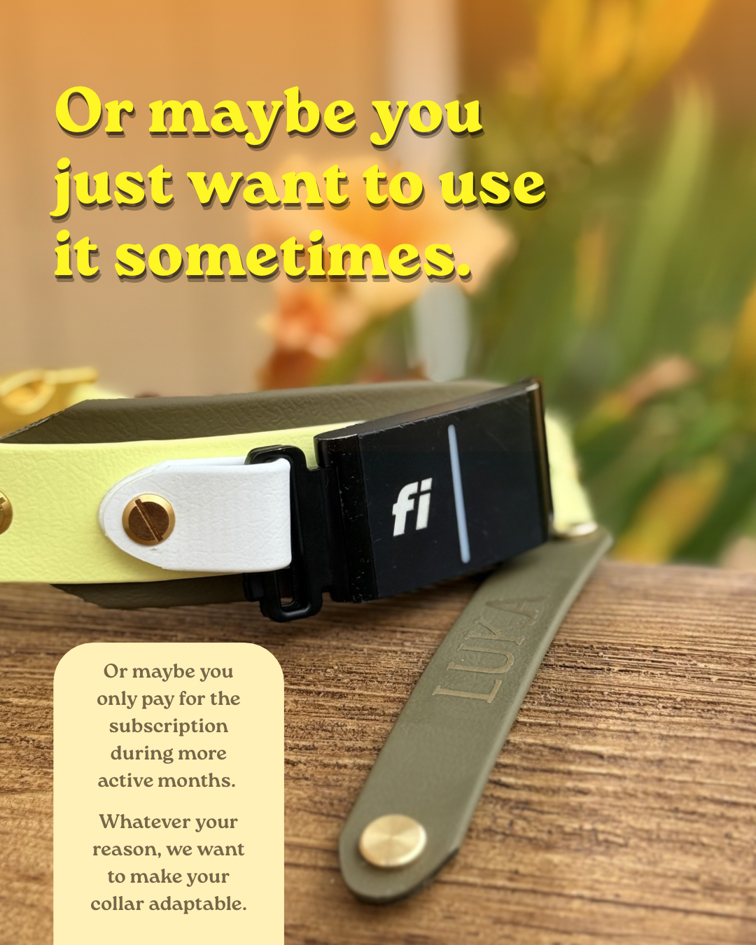 "BIO" Collar Nameplates