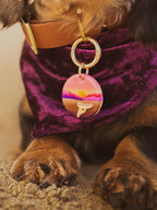 Death Valley National Park Tag