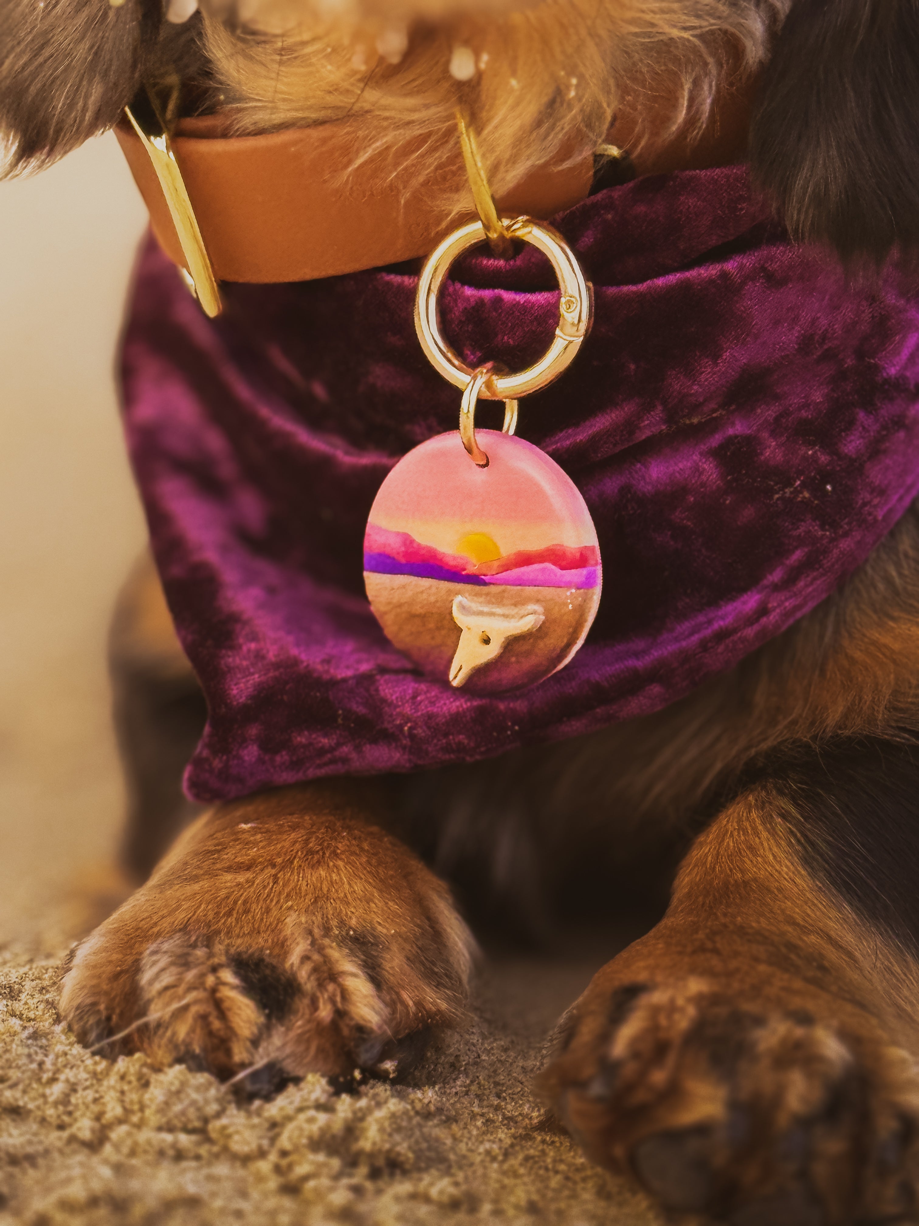 Death Valley National Park Tag