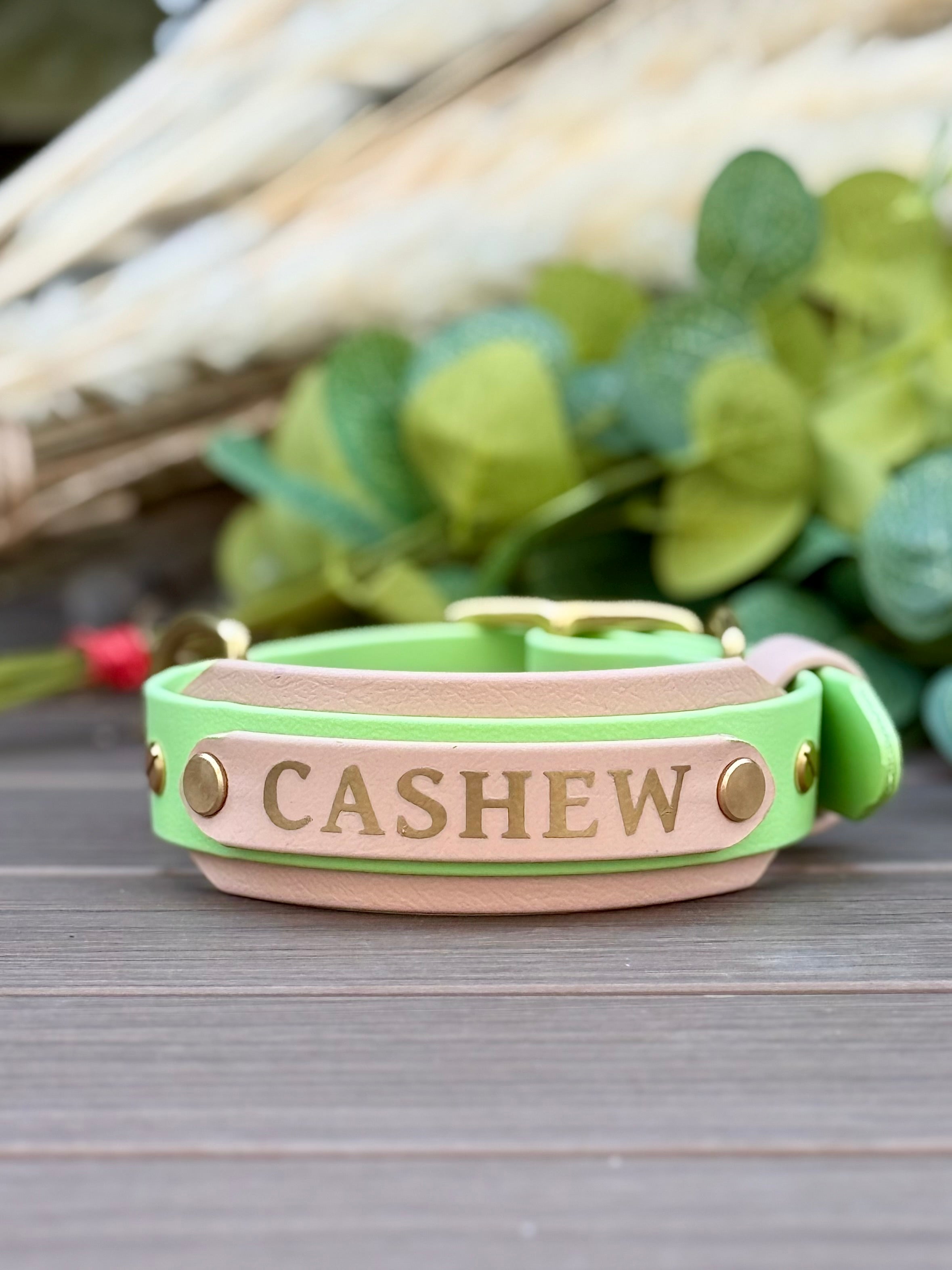 "BIO" Collar Nameplates