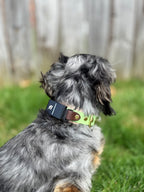 Spring Fi GPS Compatible BIO Collar