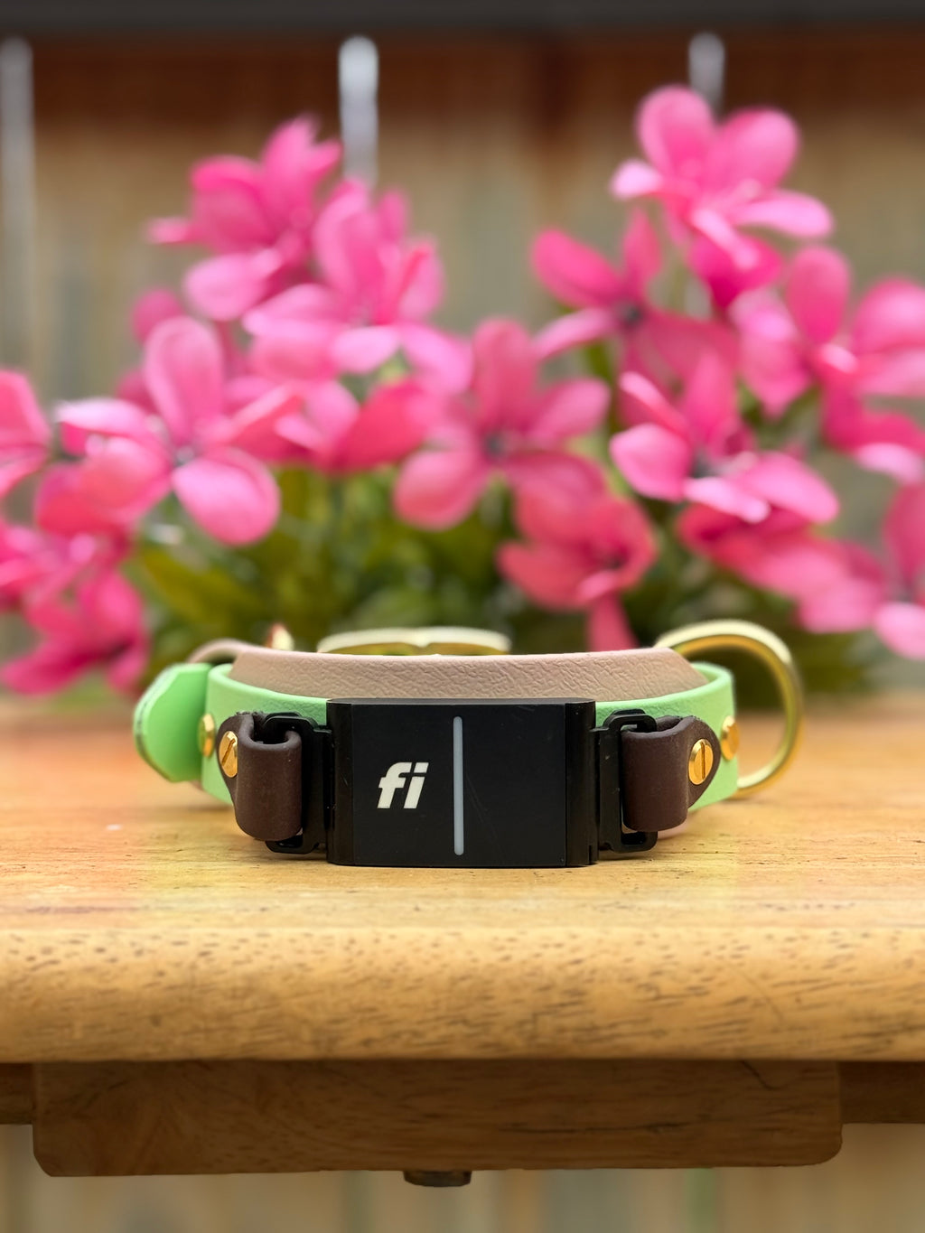 Spring Fi GPS Compatible BIO Collar