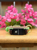 Spring Fi GPS Compatible BIO Collar