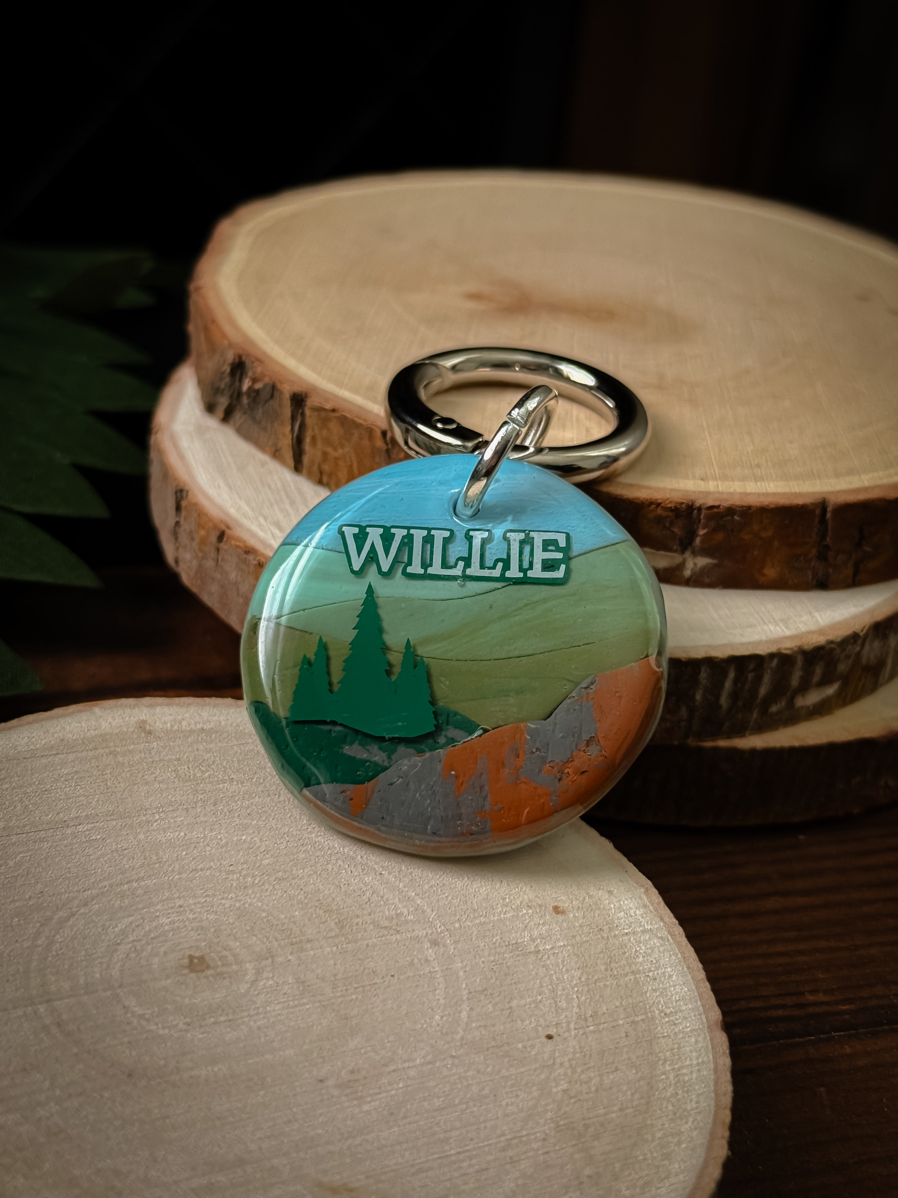 Shenandoah National Park Tag