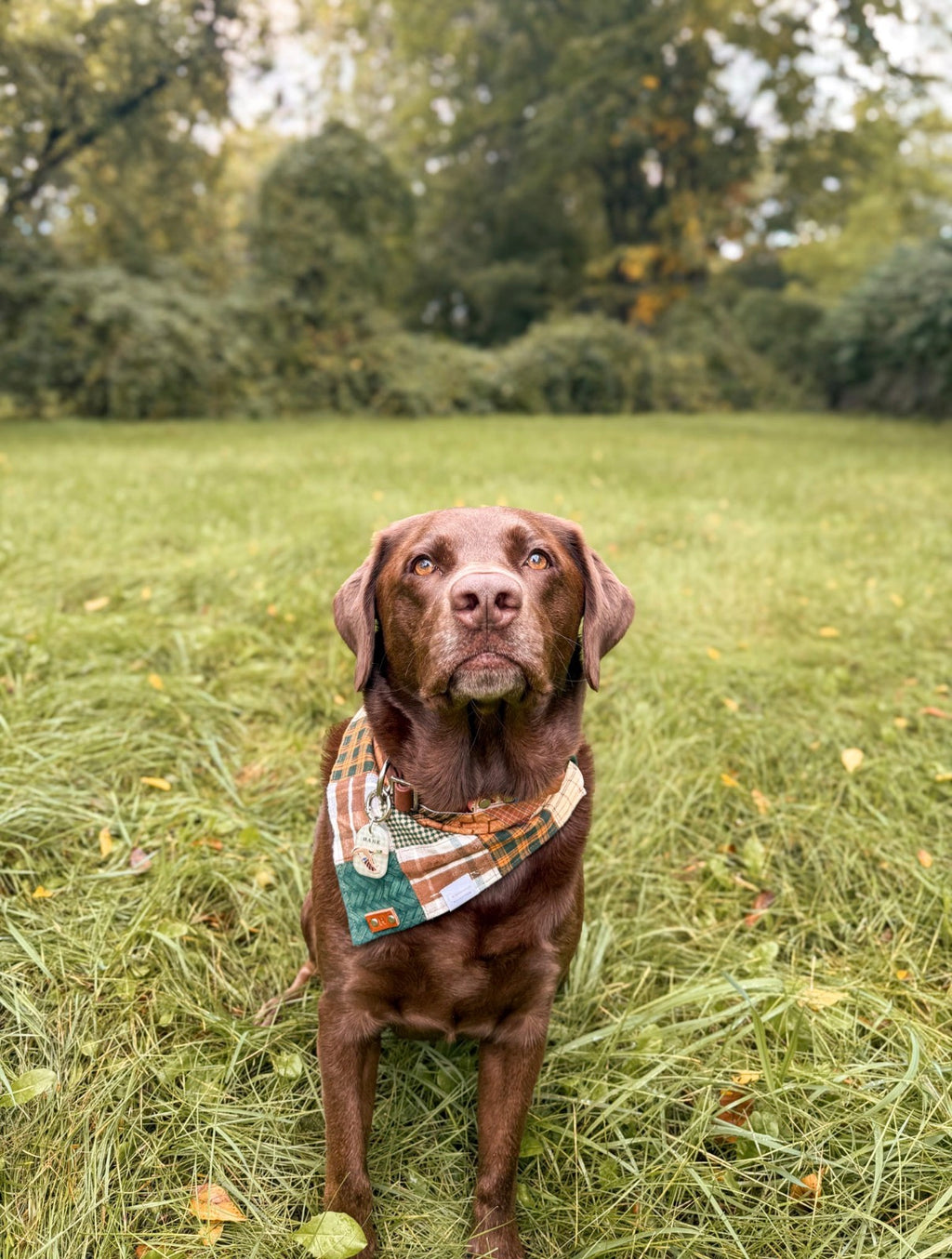 Marsh & Mallard Tag