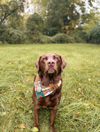 Marsh & Mallard Tag
