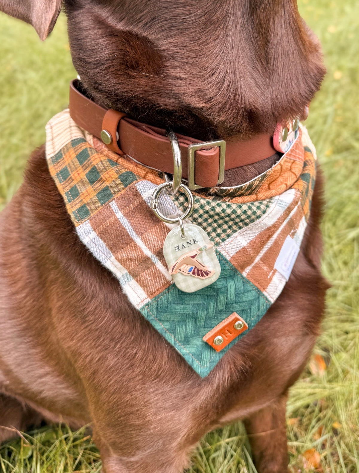 Marsh & Mallard Tag
