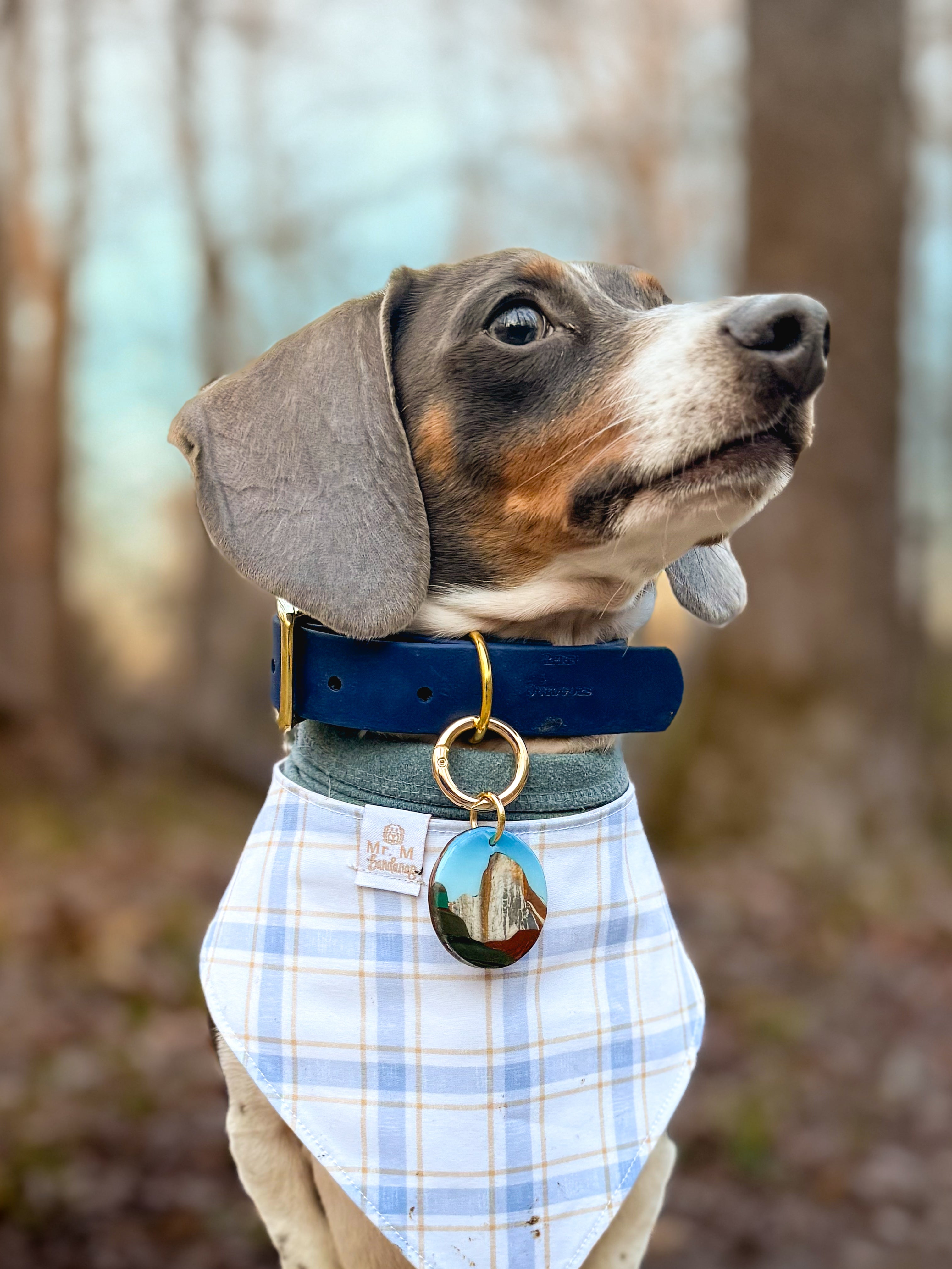 Yosemite National Park Tag