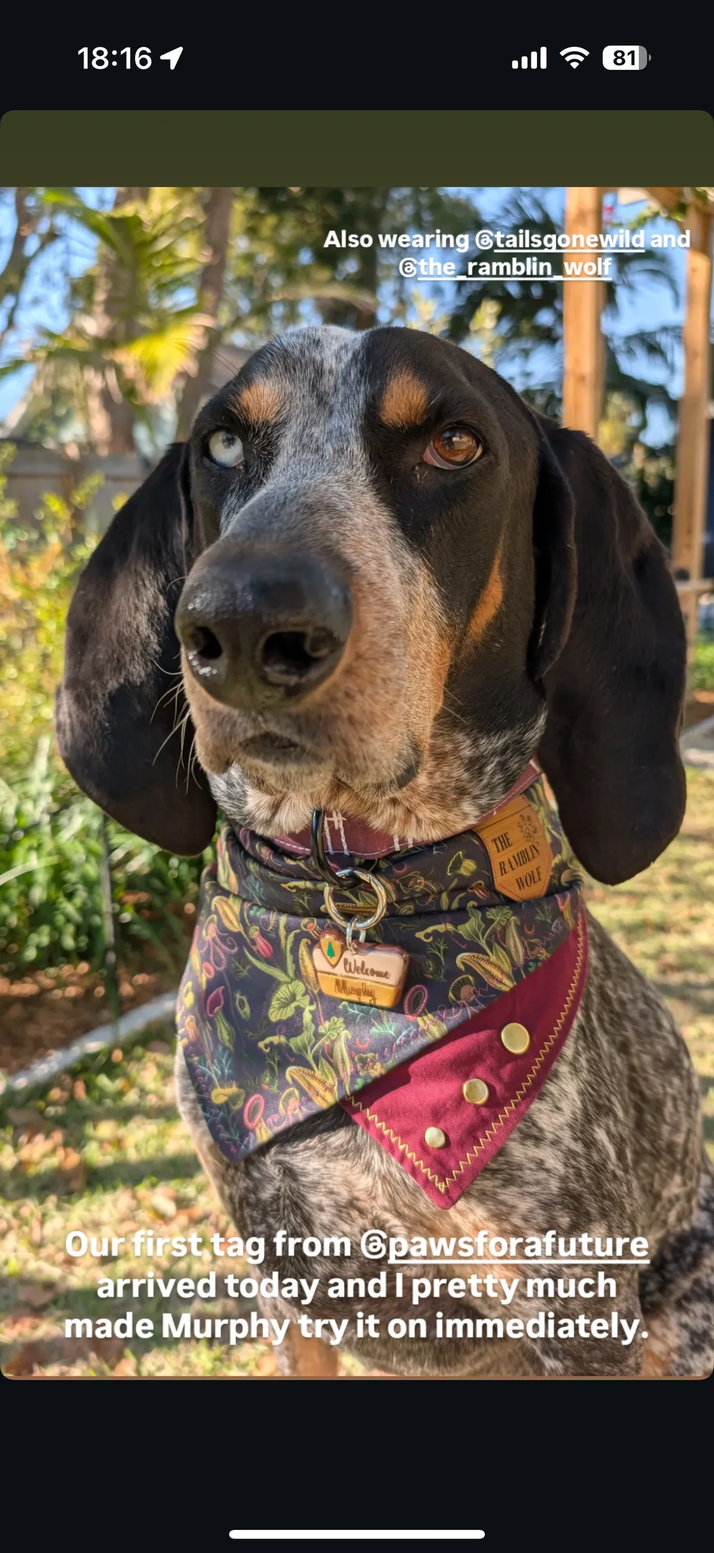 National Park Welcome Sign