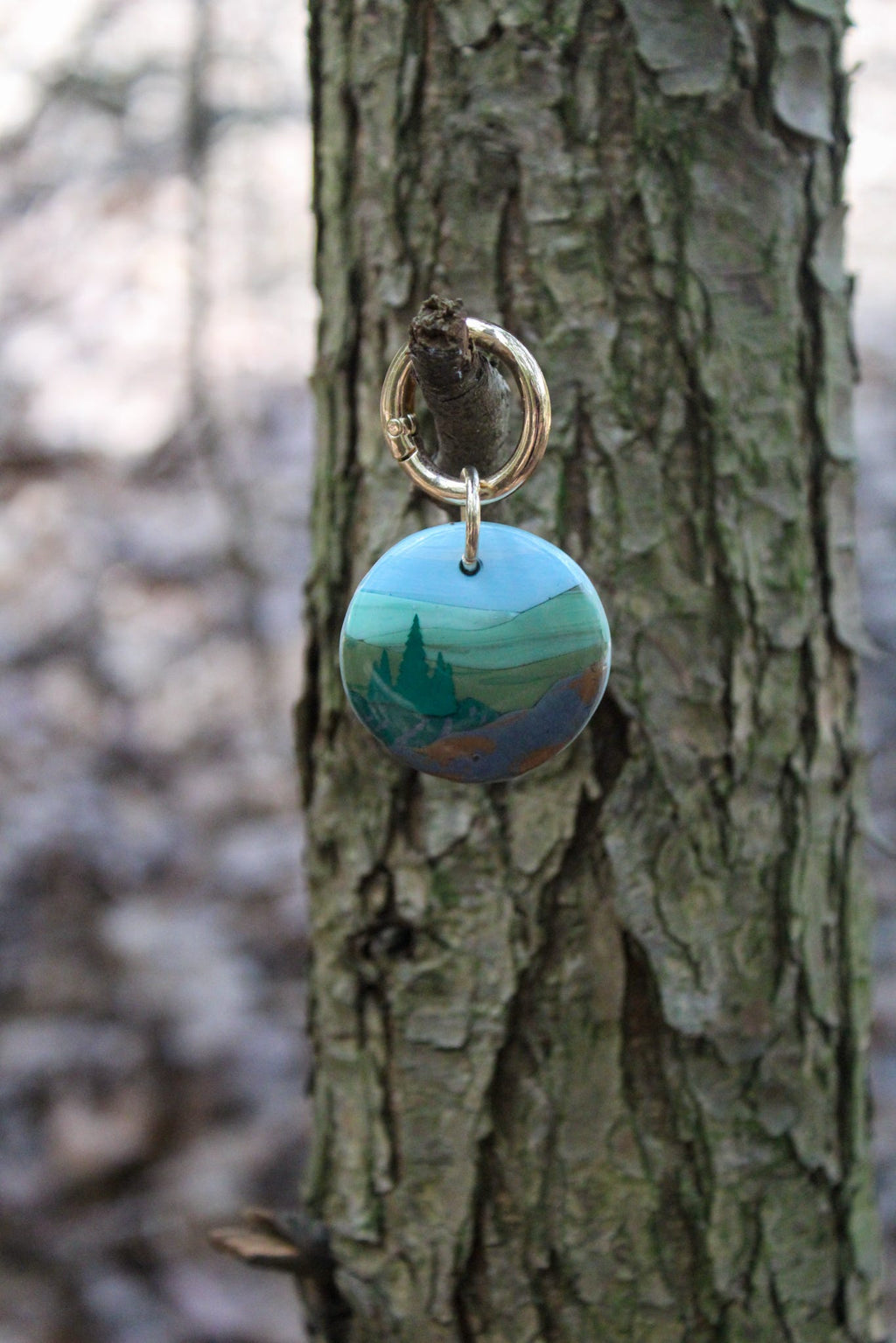 Shenandoah National Park Tag