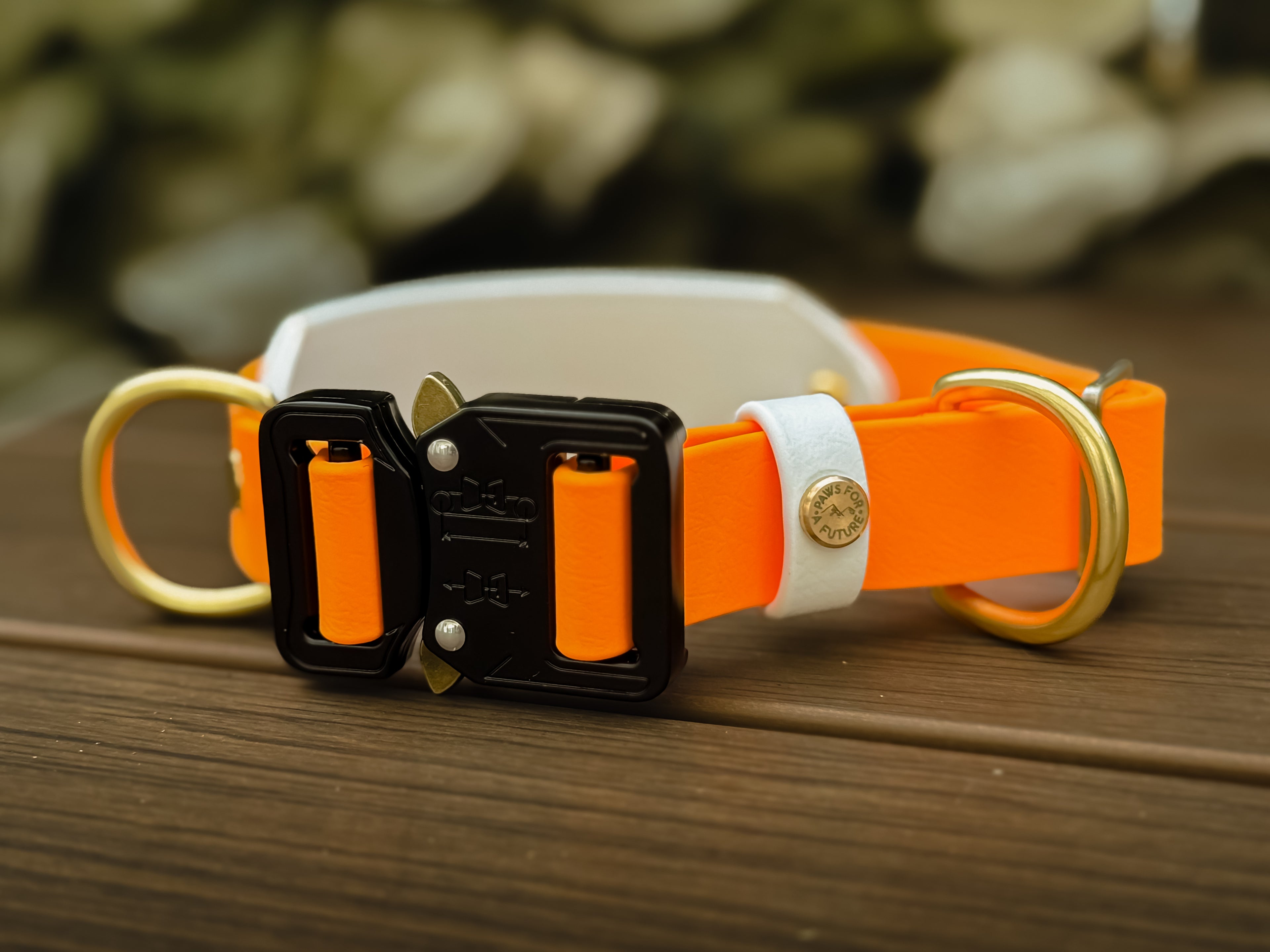 Woodland Watcher Collar Bundle