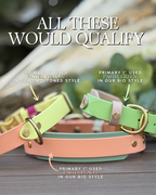 Spring Fi GPS Compatible BIO Collar