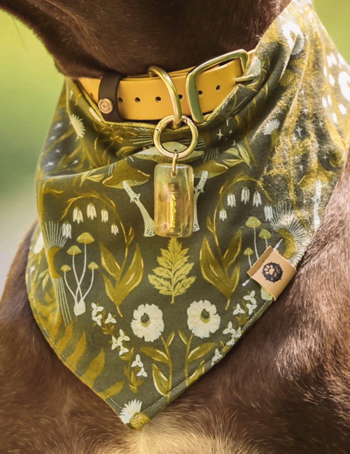 On the Range Bullet Tag