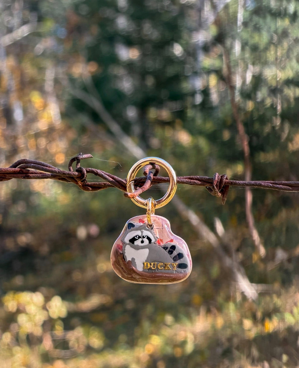 Treeing & Tracking Raccoon Tag