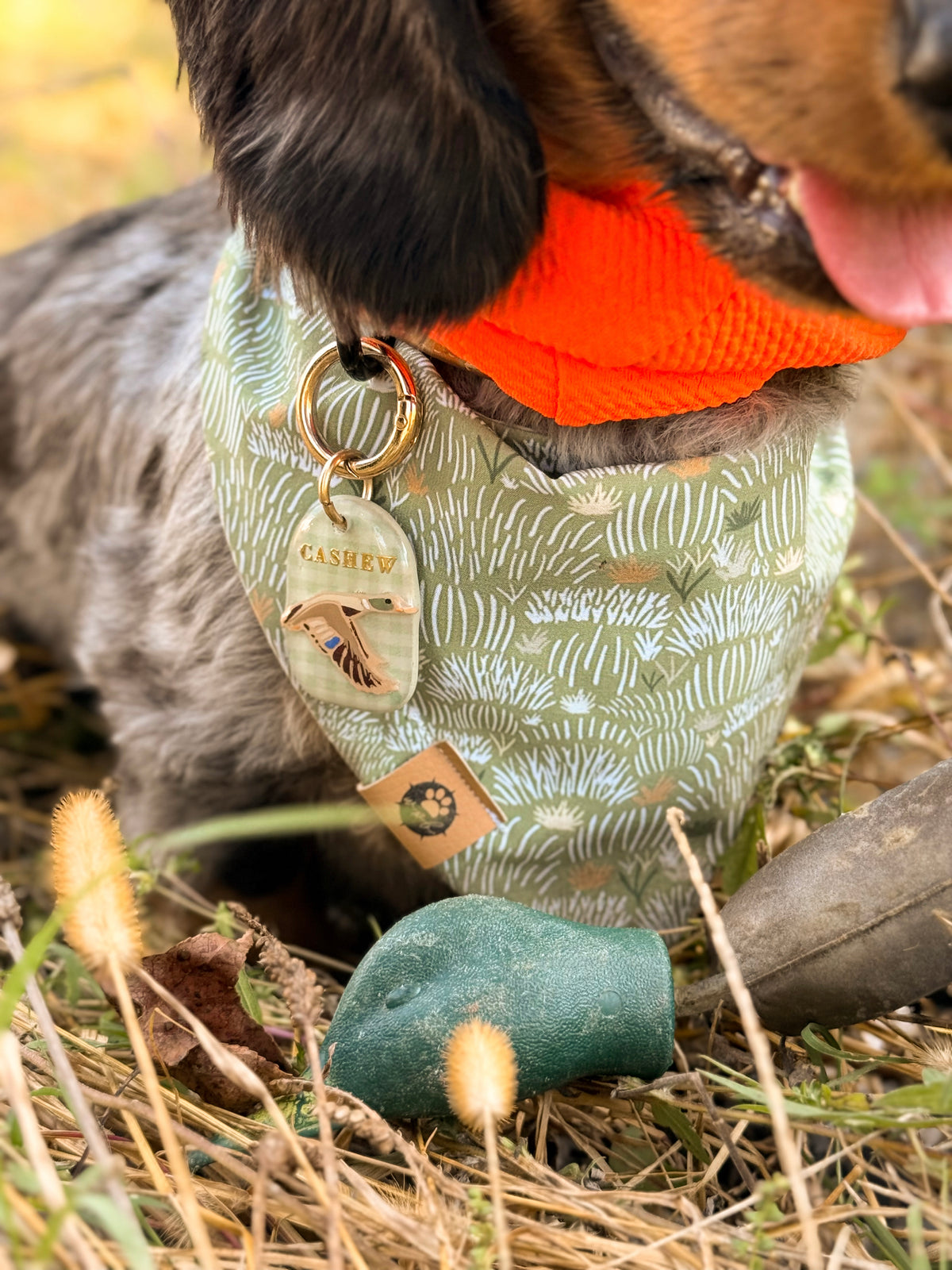 Marsh & Mallard Tag