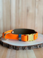 BIO "Buy It Once" Interchangeable Back BioThane Collar