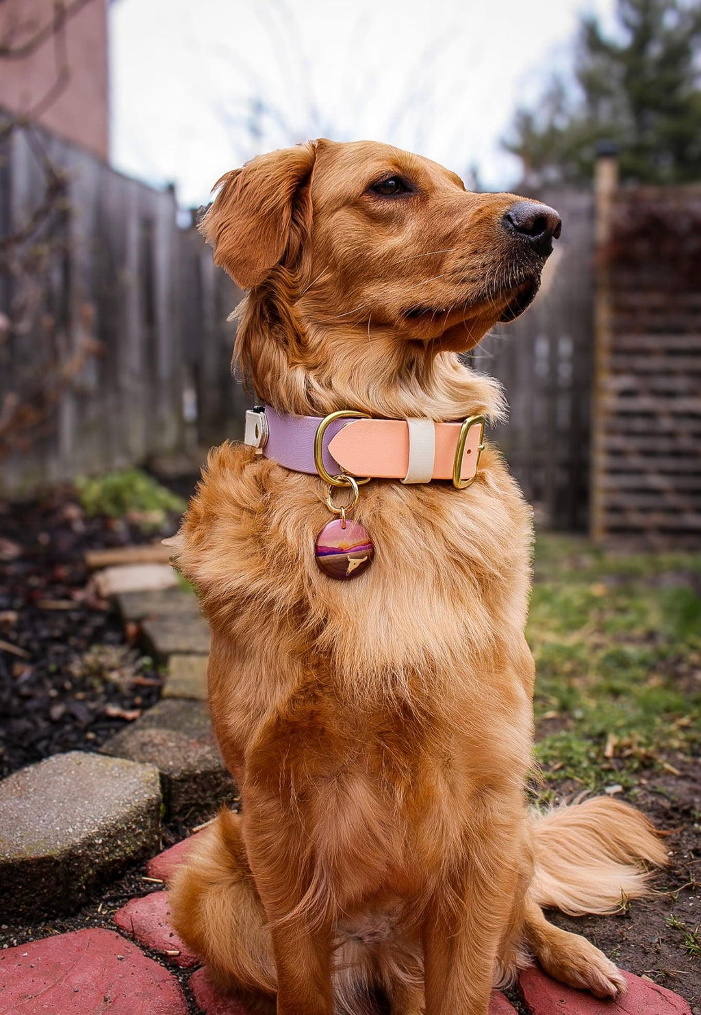 Death Valley National Park Tag