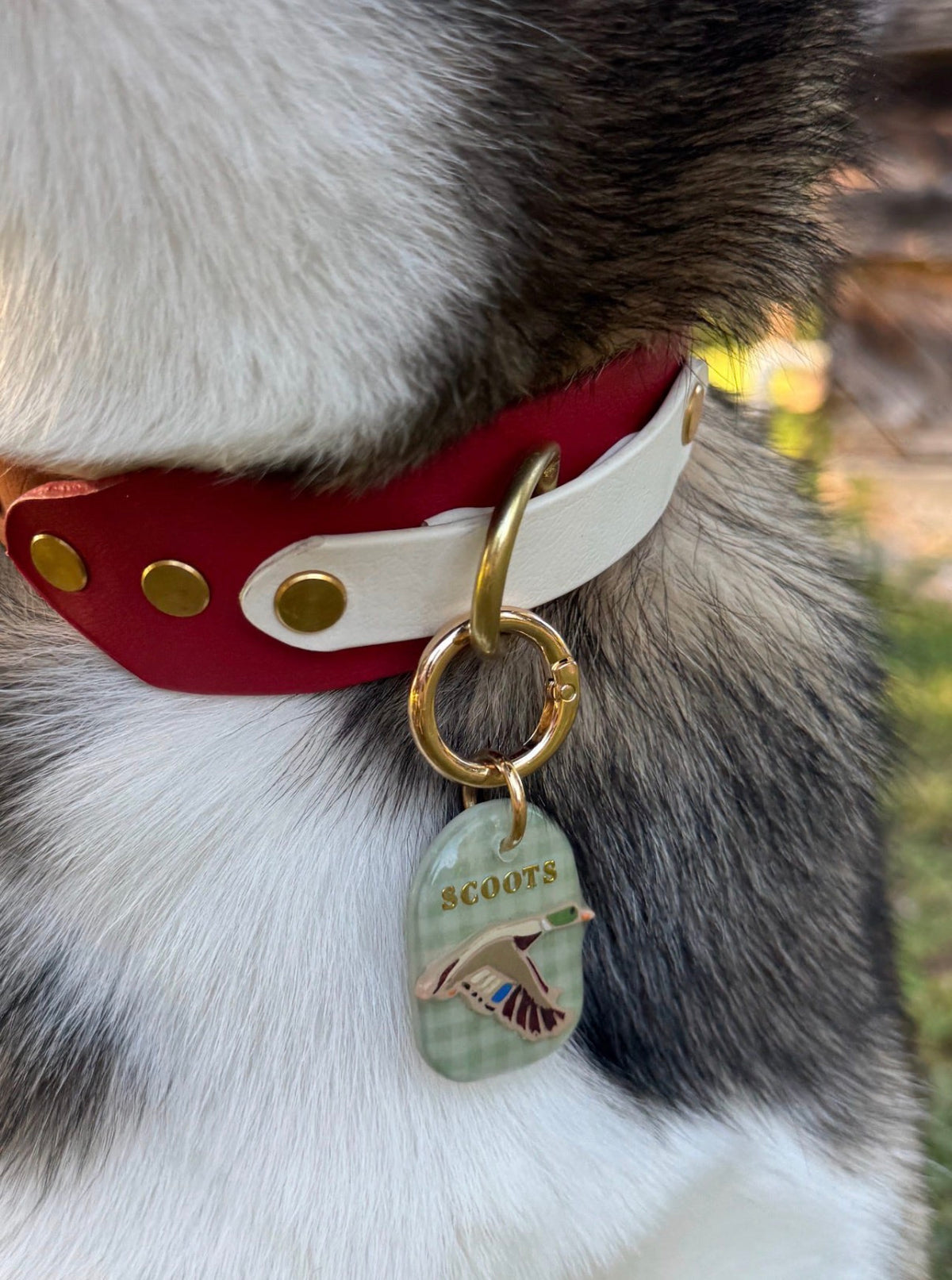 Marsh & Mallard Tag