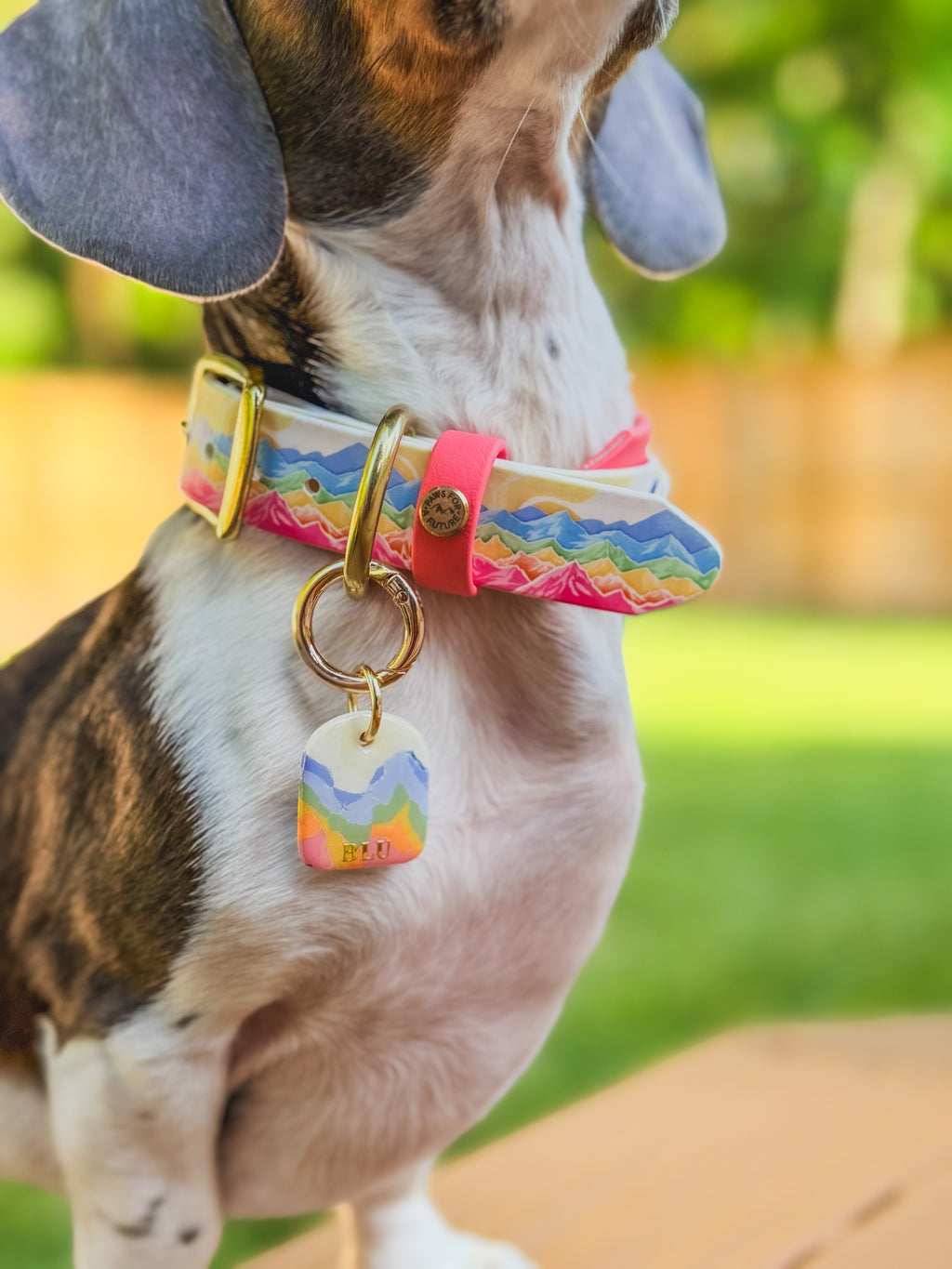 Summit Pride Collar