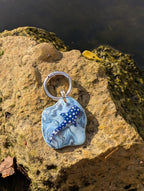 Whale Shark Tag