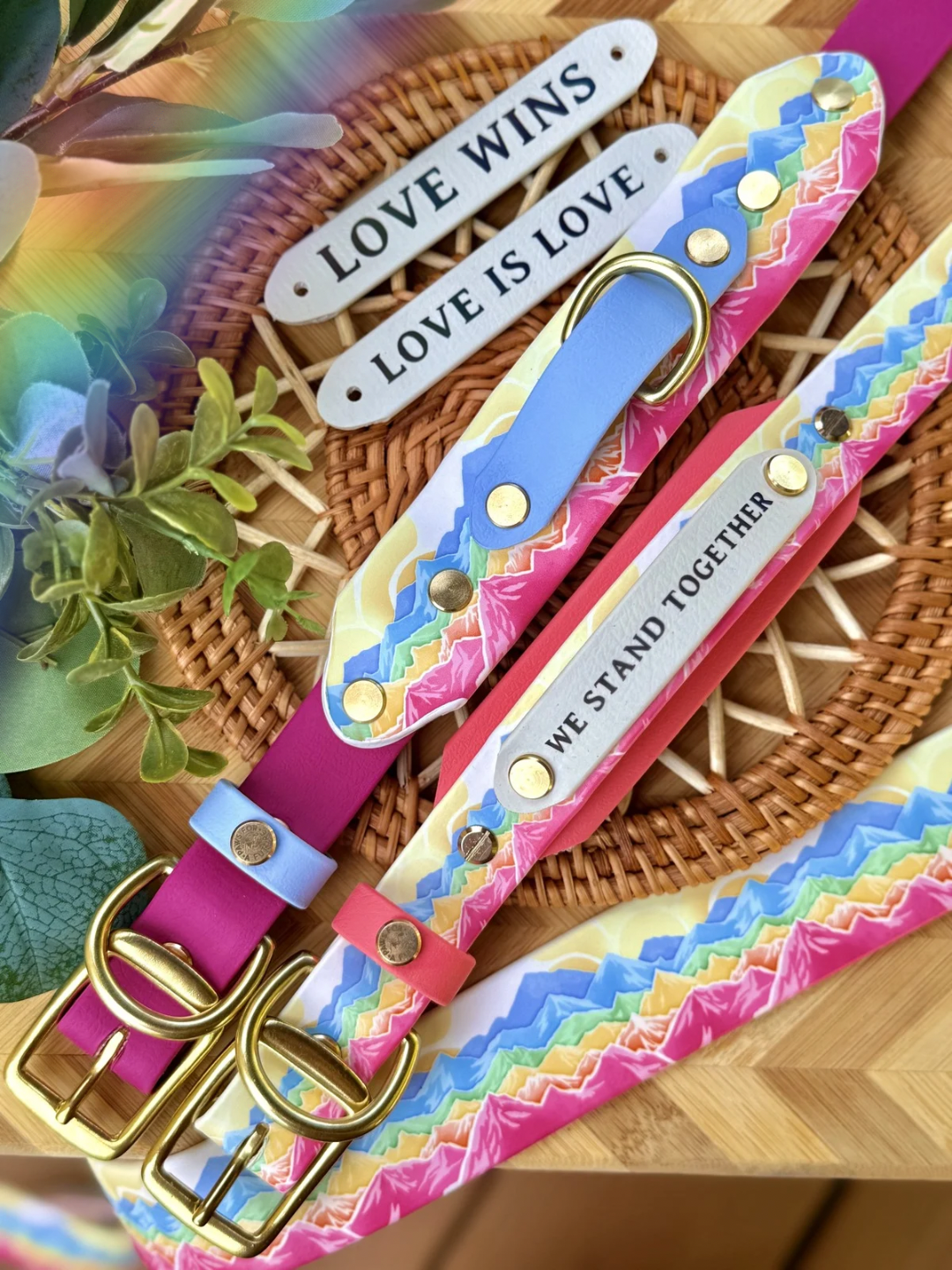 Summit Pride Collar