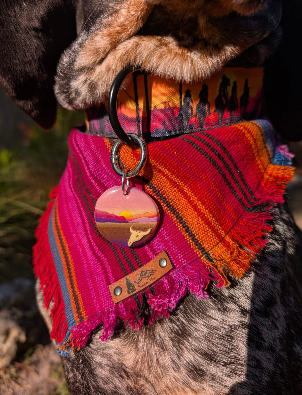 Death Valley National Park Tag