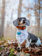 Great Smoky Mountains National Park Tag