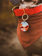 Grand Canyon National Park Tag