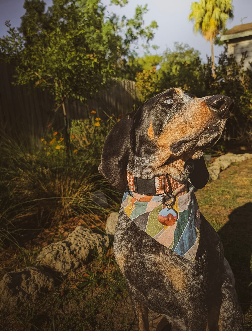 Arches National Park Tag