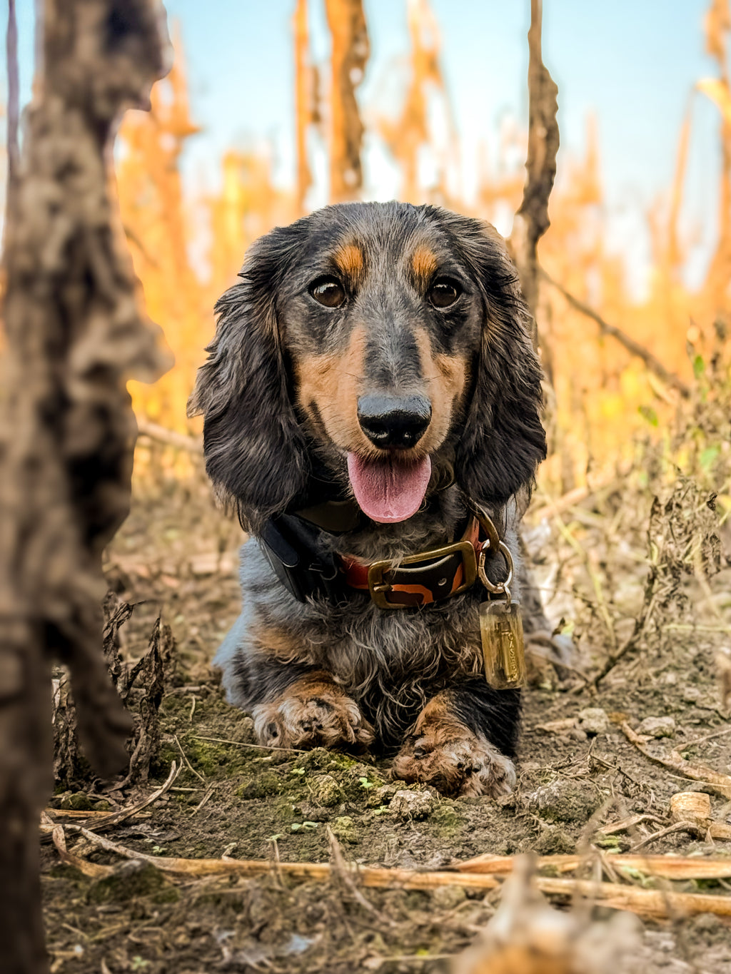 On the Range Bullet Tag