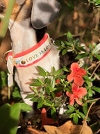 Summit Pride Collar