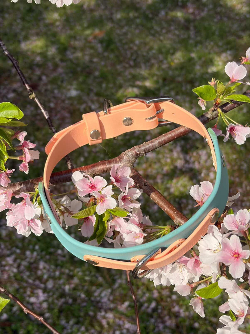 Spring Keystone Collar