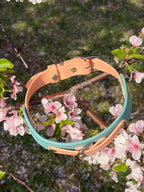 Spring Keystone Collar