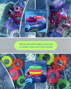 Neon Summer Fi GPS Compatible BIO Collar