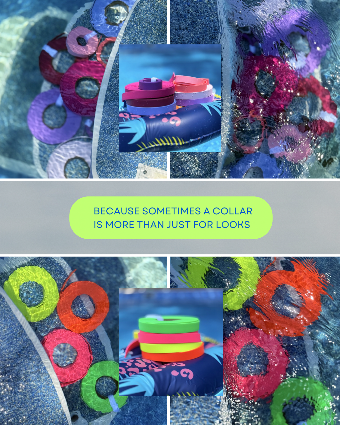 Neon Summer Fi GPS Compatible BIO Collar