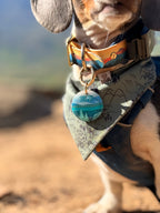 Great Smoky Mountains National Park Tag