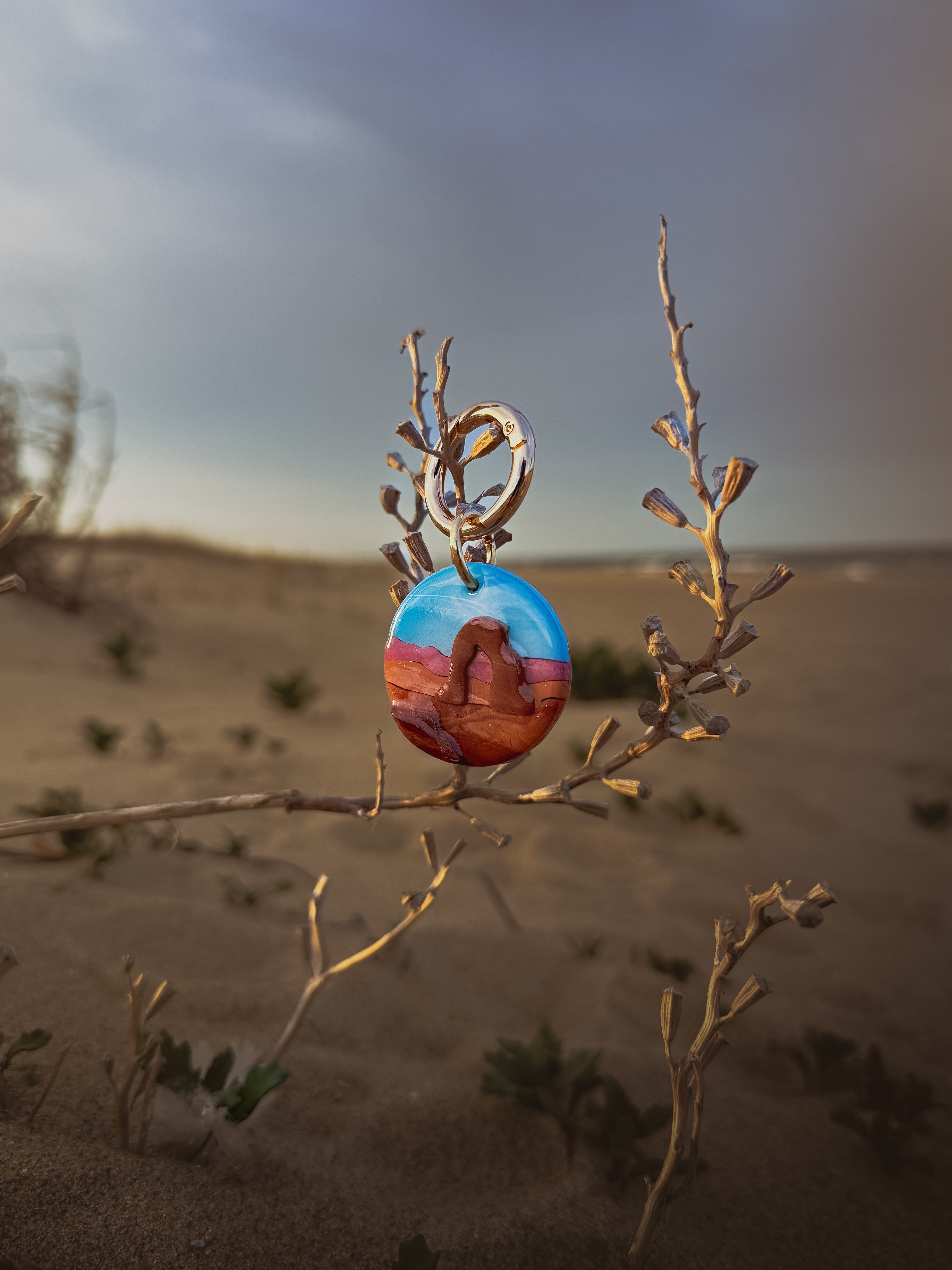 Arches National Park Tag