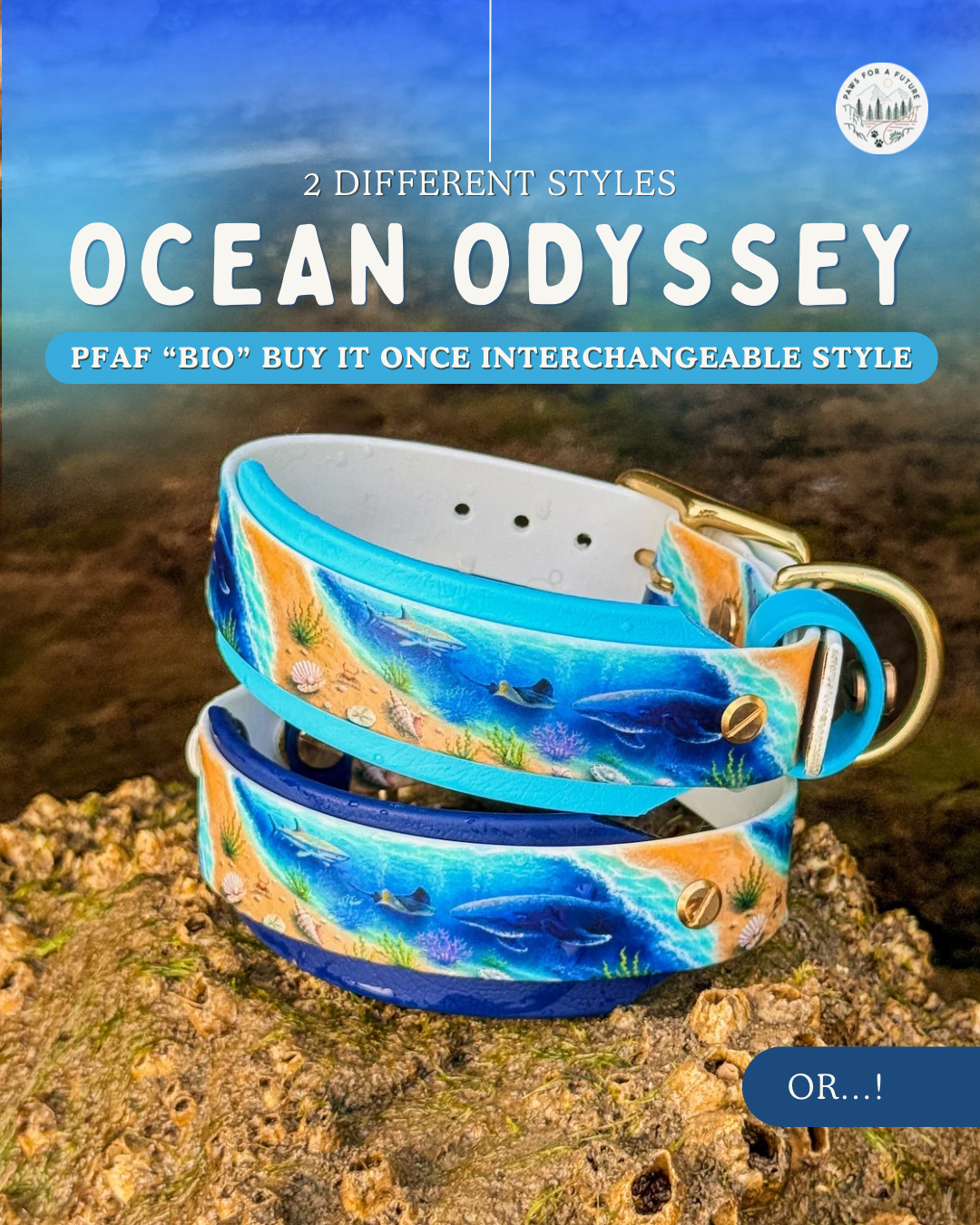 Ocean Odyessy Collar