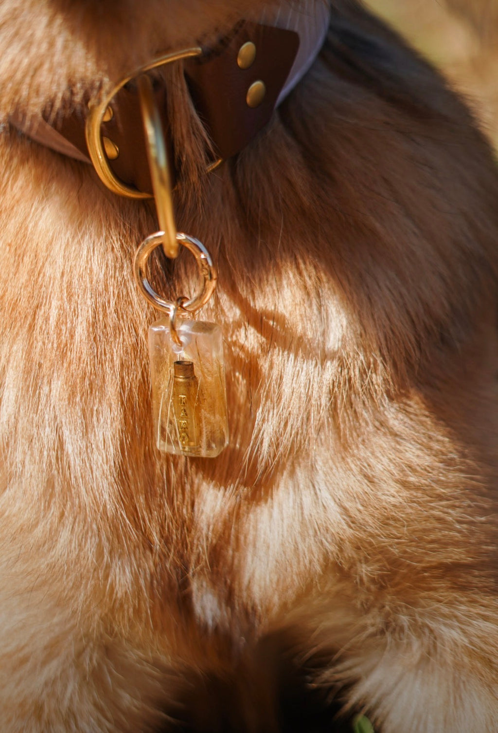On the Range Bullet Tag