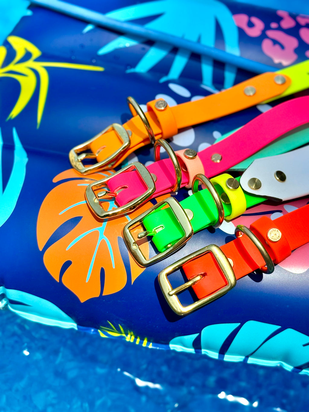 Neon Summer Fi GPS Compatible BIO Collar